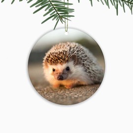 Hedgehog Ornament,Christmas Ornament Xmas Tree Ornaments,Suitable for Home,Party Decorations