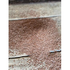 Unearthed Whole Flax Seed - Premium Quality Plant-Based Protein, Gluten-Free, Non-GMO, Kosher, Vegan, Raw Seeds, Rich in Omega-3, Great for Baking, Topping, Smoothies & Beverages (25lb)