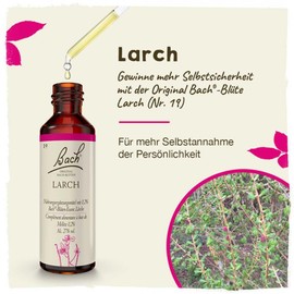 Bach Flowers Larch Drops 20 ml