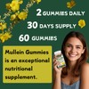 Putaojun Mullein Gummies for Lung Cleanse | Organic Immune Support
