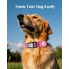 WhoseID Reflective Dog Collar with AirTag Holder,Adjustable Dog Collar with