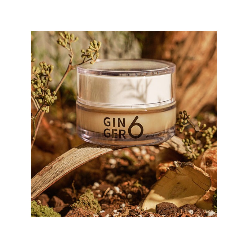 진저6 비건 액티브 워터 수분 크림 50ml Ginger6 Vegan Active