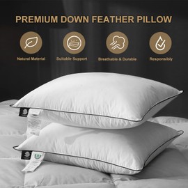 DWR Goose Feather Down Pillow for Sleeping 2 Pack, Queen Size Organic Cotton Hotel-Style Bed Pillow Inserts, Soft Medium Pillow for Stomach and Back Sleeper (20x30, Set of 2)