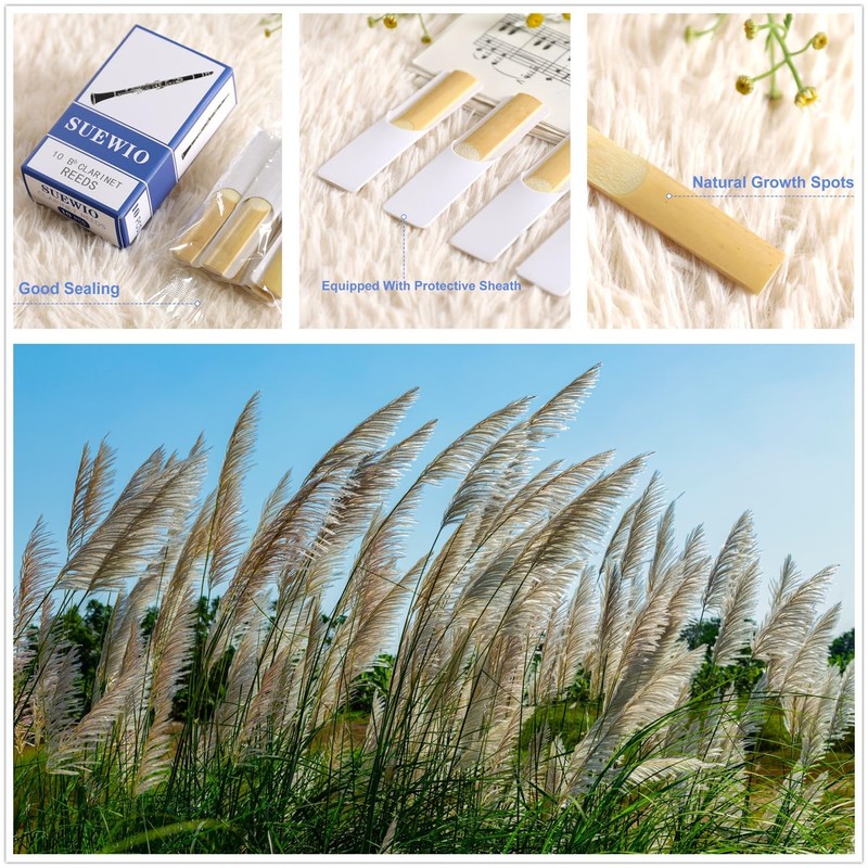 SUEWIO Bb Clarinet Traditional Reeds, Strength 2.0, Box of 10