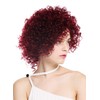 WIG ME UP - VK-11-39 Women's Wig Short Voluminous Curly