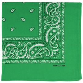 Raylarnia Bandana Multi-Purpose 100% Cotton Headbands for Women, 22 inch Paisley Cowboy Bandanas for Men