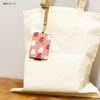 Gourmandies Miffy IC Card Case / MIFFY Fruits Apple, Dick