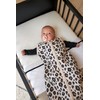 Meyco 564201 2-Pack Fitted Sheet, Cot, Offwhite