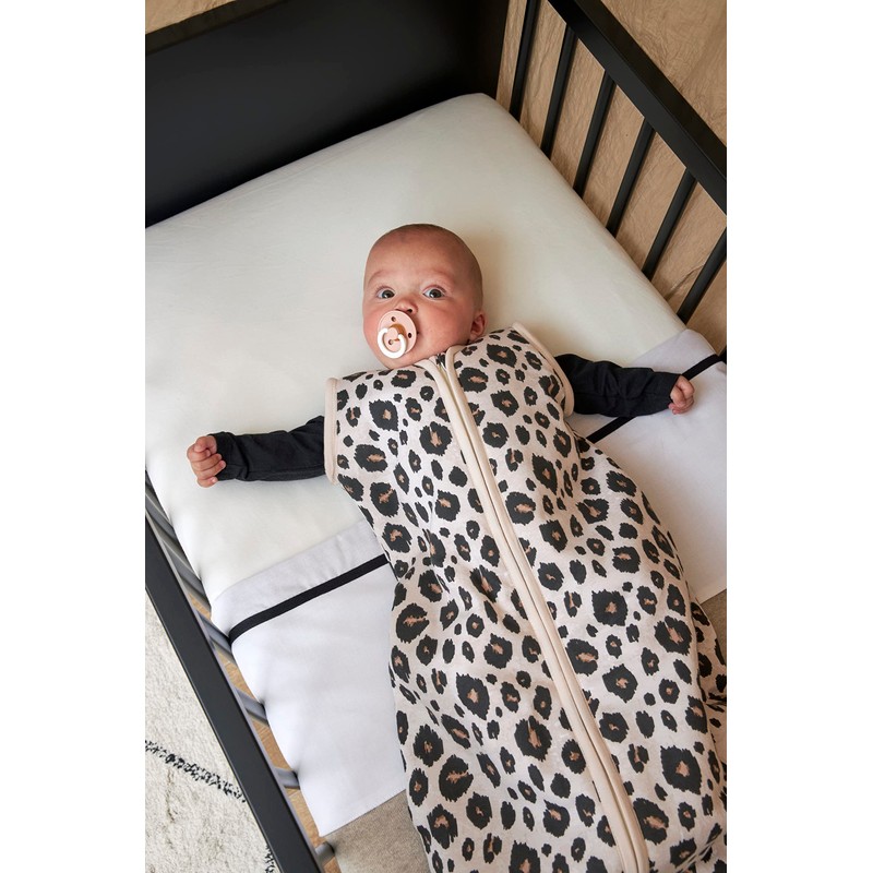 Meyco 564201 2-Pack Fitted Sheet, Cot, Offwhite