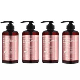 Dr. MySkin 닥터마이스킨 테온셀 1+1+1+1(4개) 약산성 시카 여신 레시피 트리트먼트 헤어팩 500g Dr. Mise Skin Theonsel 1+1+1+1 (4 Pieces) Mildly Acidic Hyaluronic Serum Recipe Treatment Hair Pack 500g