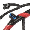Aspaton Engine Wiring Harness Compatible with 250 350(Fit F Series)