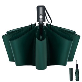 Vicloon Travel Umbrella, Folding Umbrella, 8 Ribs Compact Windproof Umbrella, Auto Open/Close, Sturdy Reinforced Canopy Automatic Portable Umbrella for Men&Women (Green)
