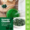 Synergy Natural Organic Chlorella 500mg 200t