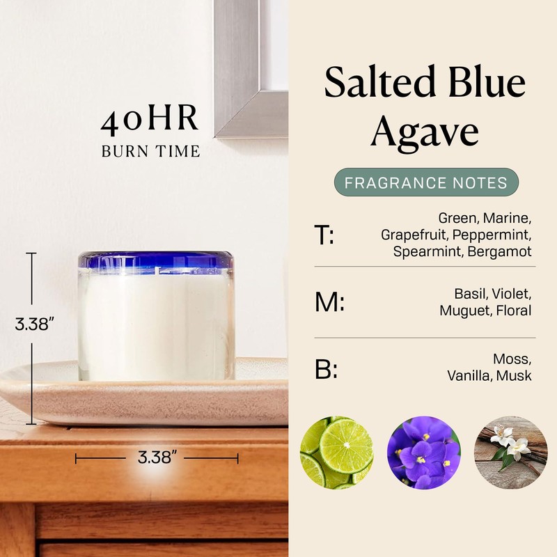 Paddywax La Playa, Salted Blue Agave Scented Candle in Reusable