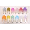 Jewel Glitter Powder 12 Colors, Plenty of 0.08 oz (2