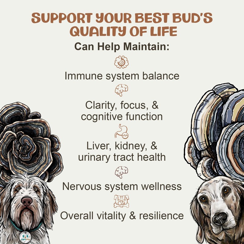 MycoDog Turkey Tail Mushroom Supplement for Dogs - Immune &