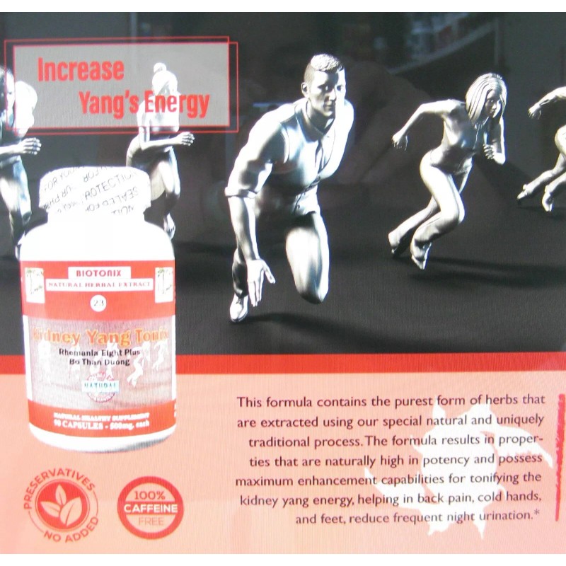 BS THUONG HAI KIDNEY YANG TONIX - BỔ THẬN DƯƠNG