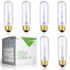 BULBMASTER 25 Watts T10 Tubular Clear Incandescent Light Bulb, Antique