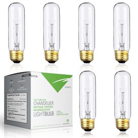 BULBMASTER 25 Watts T10 Tubular Clear Incandescent Light Bulb, Antique Vintage Style Showcase Bulb 6 Pack