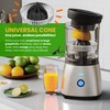 Eurolux Electric Citrus Juicer Stainless Steel | Premium Hands-Free One-Touch