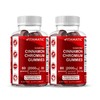 Vitamatic Sugar-Free Chromium Gummies with Ceylon Cinnamon – 2000 mg