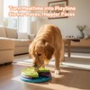 SOLDAY 3-Layer Slow Feeder Dog Bowl with Interactive Puzzle &