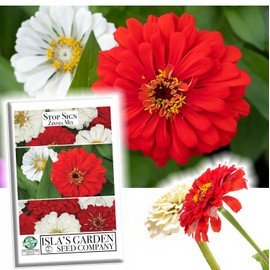 Stop Sign Mix Red & White Zinnia Flower Seeds for Planting, 500+ Seeds Per Packet, (Isla's Garden Seeds), Non GMO & Heirloom Seeds, Scientific Name: Zinnia elegans, Great Home Garden Gift