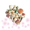 DOITOOL 1pack Natural Shell Conch Fish Tank Landscaping DIY Craft