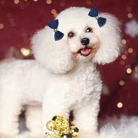 Vitdipy Pack of 20 Small Bows Pet Hair Bows, Handmade, Cute, Fashionable Hair Bun Hair Bows for Dog Grooming with Elastic Band for Puppies, Cats, Rabbits