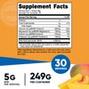 Nutricost BHB Salts Drink Mix (30 Servings, Peach Mango Flavored)