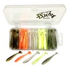 Bucht 2" 5 Colors Shad Tail Worm with Worm Case