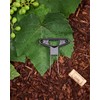 L'Atelier du Vin - 095223-0 - Twin Prong Cork Puller