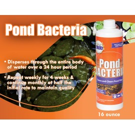 Pondworx Pond Bacteria - Concentrated & Formulated for Water Features - Safe for Koi - 16 Ounces & Treats up to 2,500 gallons of Water