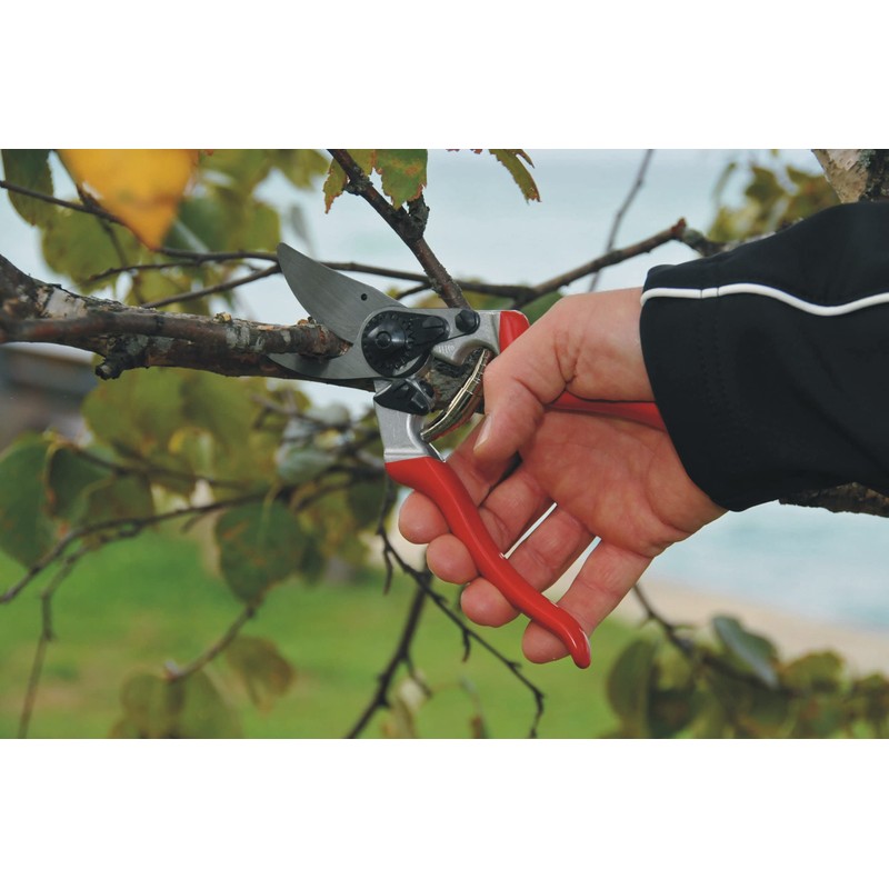 felco 8 classic (felco #8)