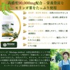 Moringa Tablets 180 Tablets (60 Day Supply) | 90,000 mg