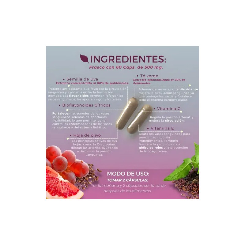 Semilla De Uva Biosuple Circulación Sanguinea 60 Caps 500mg