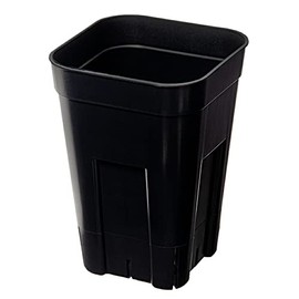 CHARM PRESTELLA 90 Deep Black Slit Pot, Haorcia Echeveria Set of 10