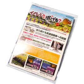 Wild Boar Why Escaping? Set of 6 ka – 006