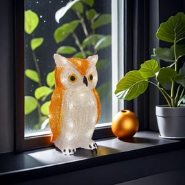 Gloworm YKL-1018, 22.5CM Acrylic Battery Box Owl with 24 Warm White LEDs, 6 Hour Timer, Dual Power Supply USB or Batteries: 3 x AA 1.5V (Not Included) Indoor Use