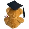 Deluxe Paws Gift Teddy Bears for Special Occassions, 100% Recycled