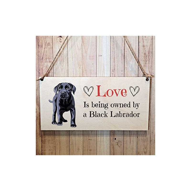 Second Ave Black Labrador Dog Wooden Hanging Gift Rectangle Home