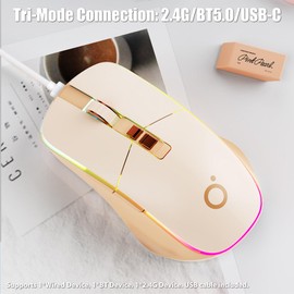 TISHLED Wireless Gaming Mouse Tri-Mode 2.4Ghz/Bluetooth 5.0/Wired USB-C with RGB LED Backlit 5-Level DPI Rechargeable Ergonomic Silent Optical Mice for iMac/MacBook/Computer/Laptop, Matcha Green