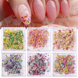 Calkkrer 6 Box Dried Flowers, 3D Dried Flowers for Nails, Spring Flowers Nail Art Stickers for Resin Crafts Colourful Small Natural Floral