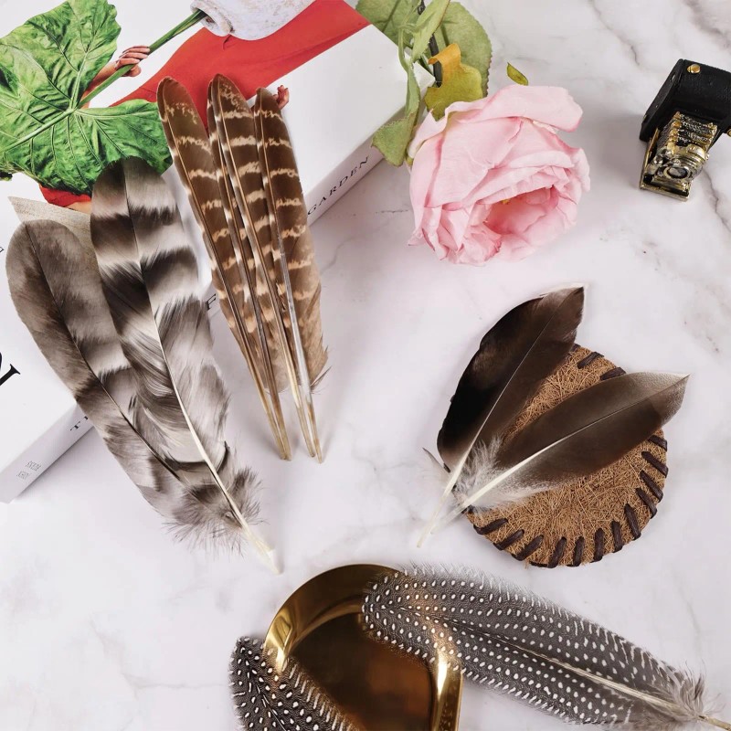 40pcs Natural Pheasant Feathers Bulk Spotted Feathers 5 Styles Mixed