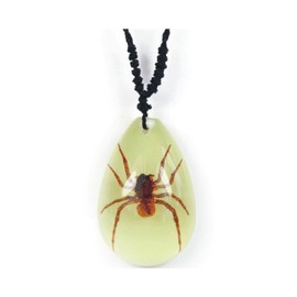 Real Brown Recluse Spider Necklace Small Teardrop Glow in the Dark