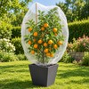 Plant Protection Netting for Fruit Trees & Garden Plants –