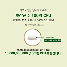 Deep Sea Everyday 10 Billion Probiotics 500mg x 60 capsules, 1 box, 2 months supply / 딥씨 에브리데이 100억 프로바이오틱스 500mg x 60캡슐 1박스 2개월분