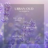 EMBAROUGE URBAN OUD Unisex Fragrance | Perfume for Men and