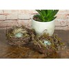 Melrose 58180 Twig and Foam Robin's Nests with Eggs Tabletop,