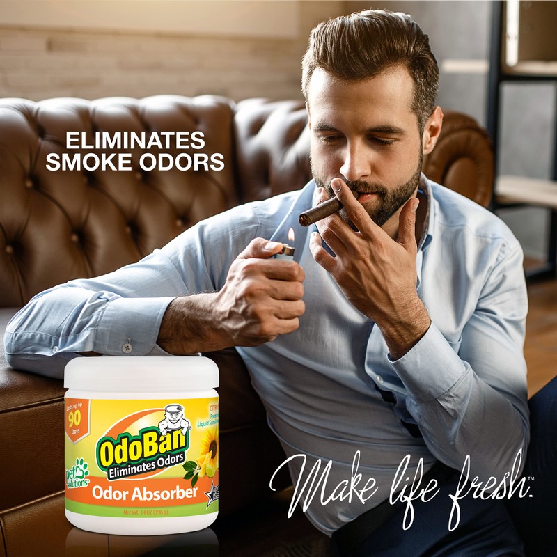 OdoBan Solid Odor Absorber Eliminator for Home and Small Spaces,